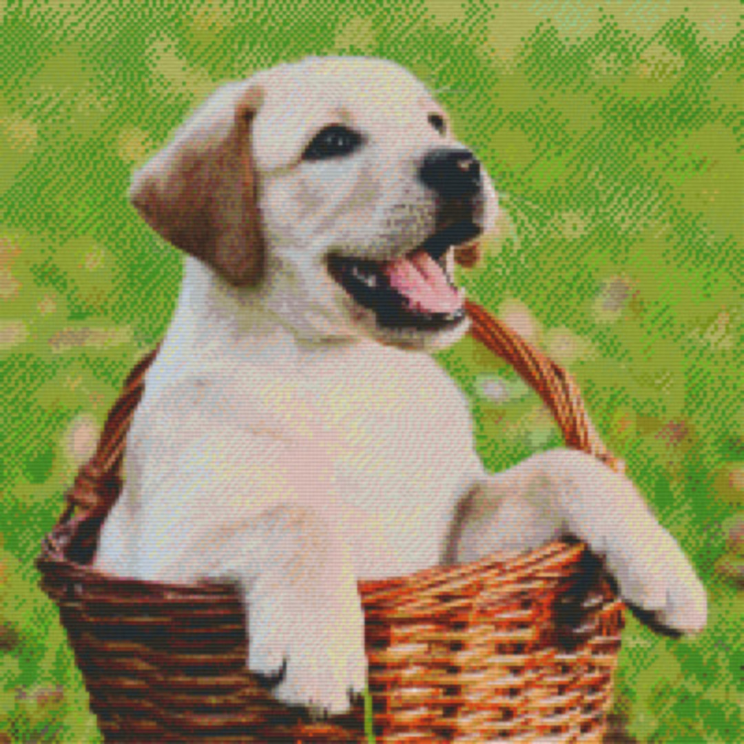 Dog In Basket Twenty [20] Baseplate PixelHobby Mini-mosaic Art Kit image 0
